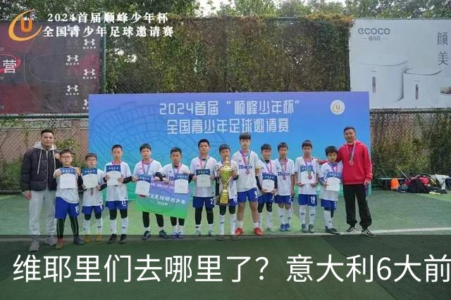 维耶里们去哪里了？意大利6大前锋没一个在踢欧冠